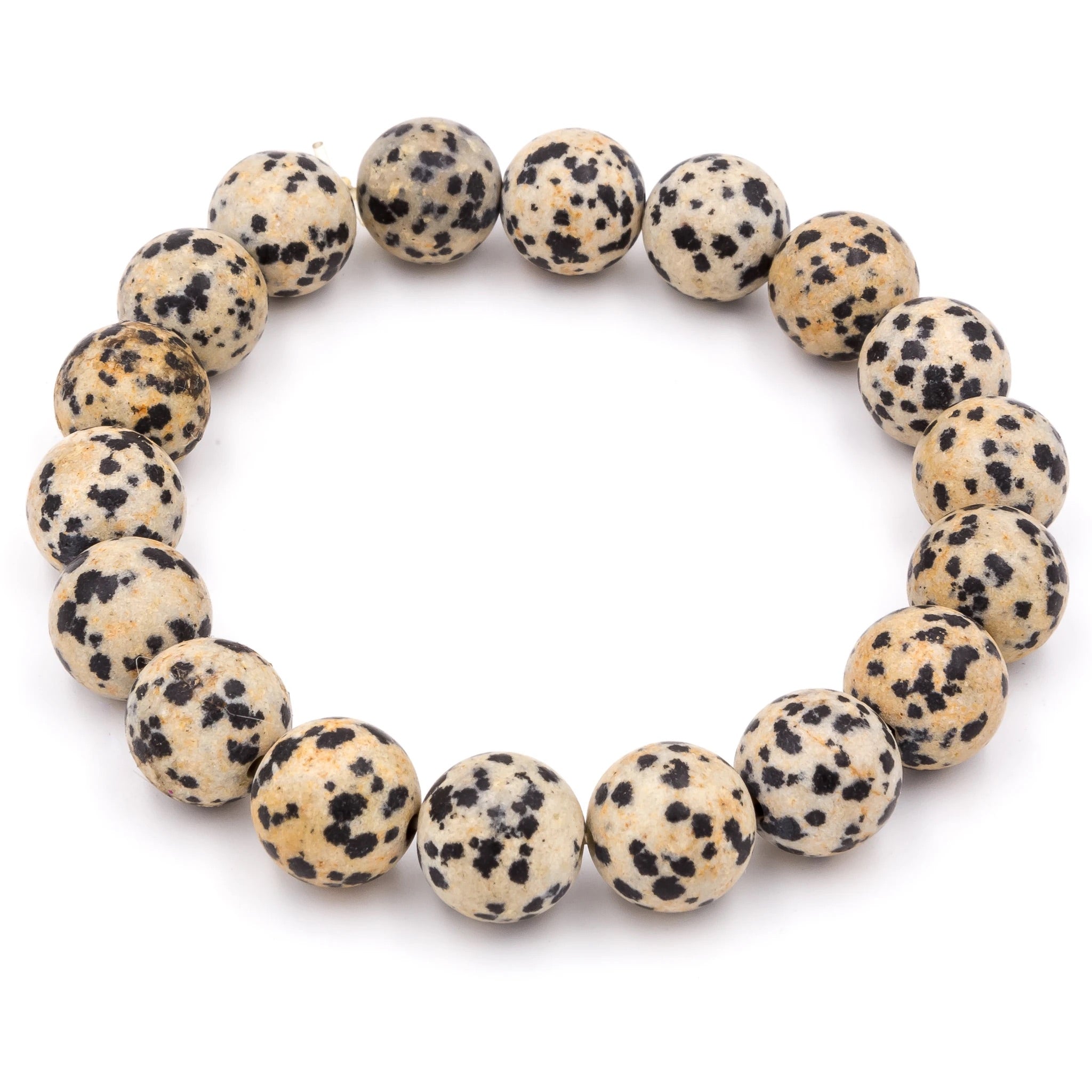 Dalmatian bracelet on sale